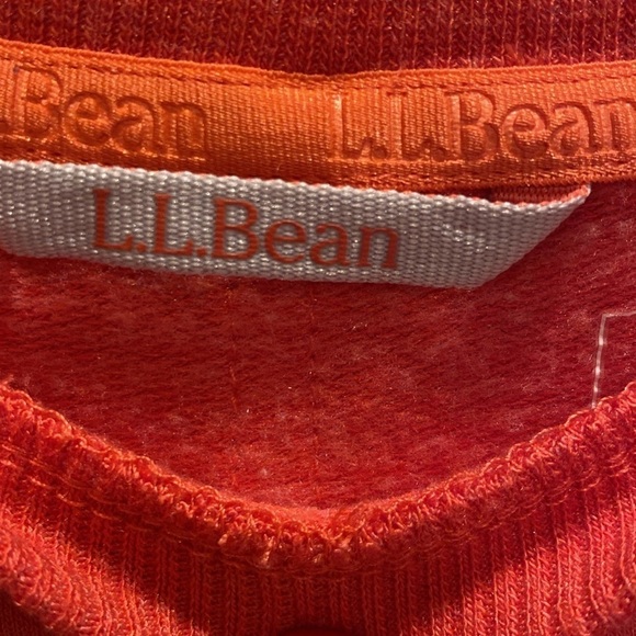 L.L Bean SoftFlex Crewneck Dolman Sleeve Pullover Peachy Orange LARGE PETITE - Picture 3 of 8